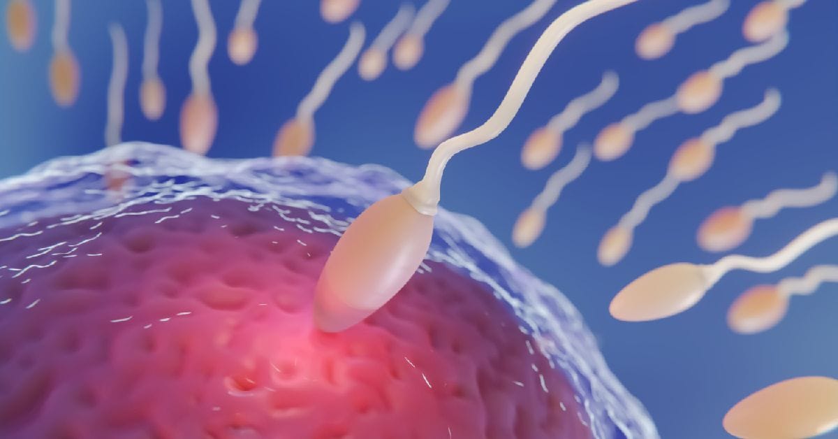 Jenis Kelainan pada Sperma yang Calon Ayah Perlu Tahu