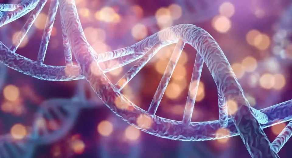 Panduan Terapi Stem Cell untuk Pemulihan dan Pereda Nyeri yang Efektif