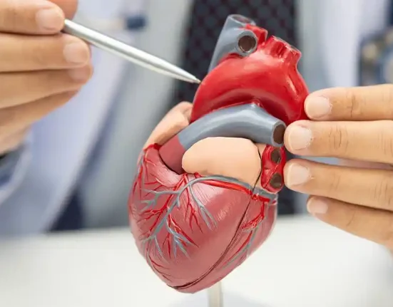 Diagnosis dan Pengobatan Penyakit Jantung Koroner