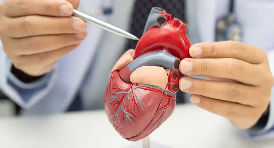Diagnosis dan Pengobatan Penyakit Jantung Koroner