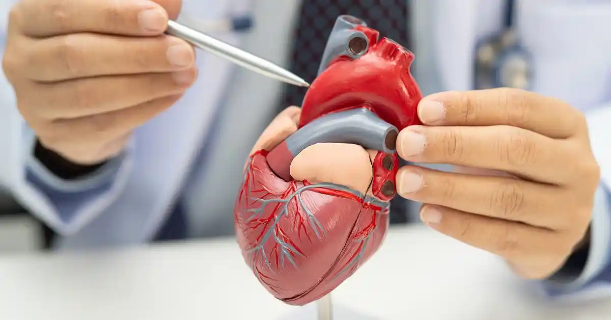 Diagnosis dan Pengobatan Penyakit Jantung Koroner
